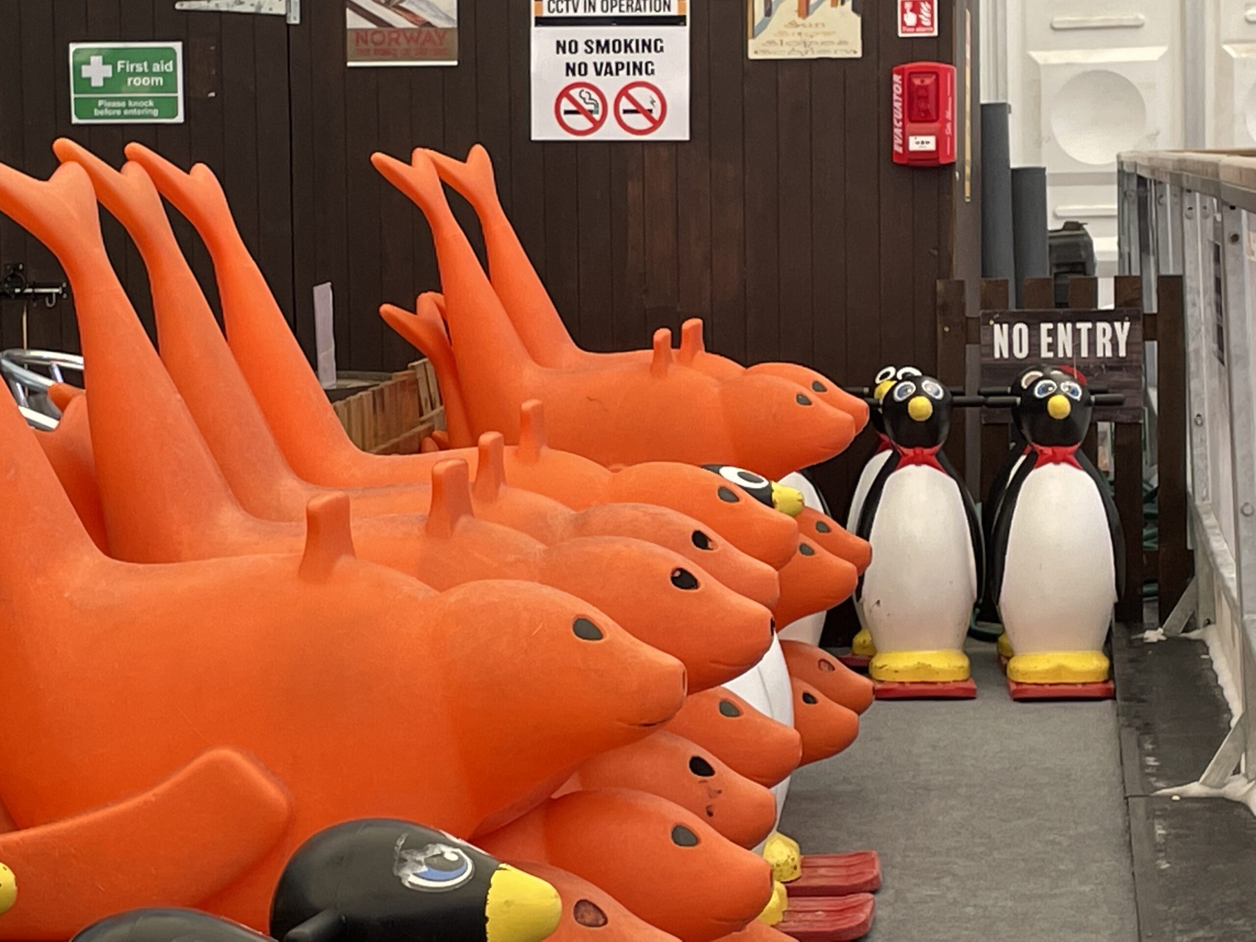 Penguin and seal skate aids available at Ice Skate Leicester